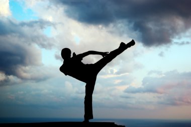 Kung fu at the edge clipart