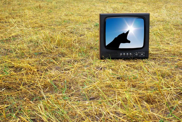 Old television set — Stock Photo, Image