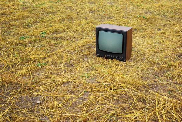 stock image TV on the meadow