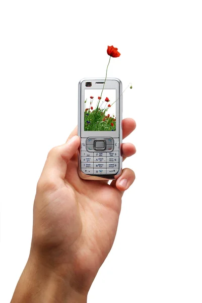 Teléfono móvil de ecología — Foto de Stock