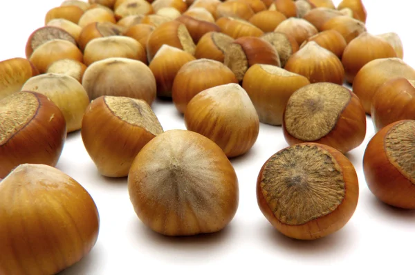 Lekker noten. — Stockfoto