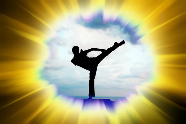 Kung fu illustration — Stock Photo, Image