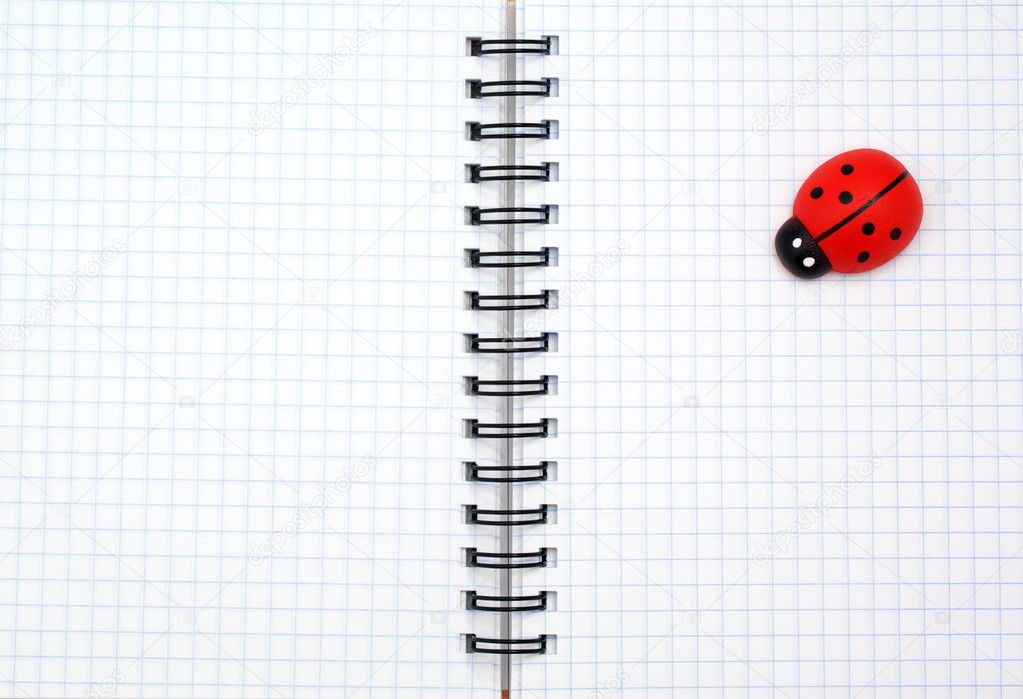 Texture of note pad and ladybug