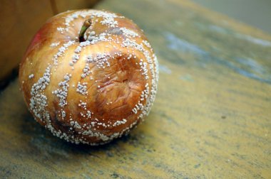 Rotten apple on a bench clipart