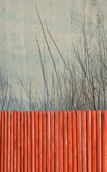 Zaun, Mauer und Bäume — Stockfoto