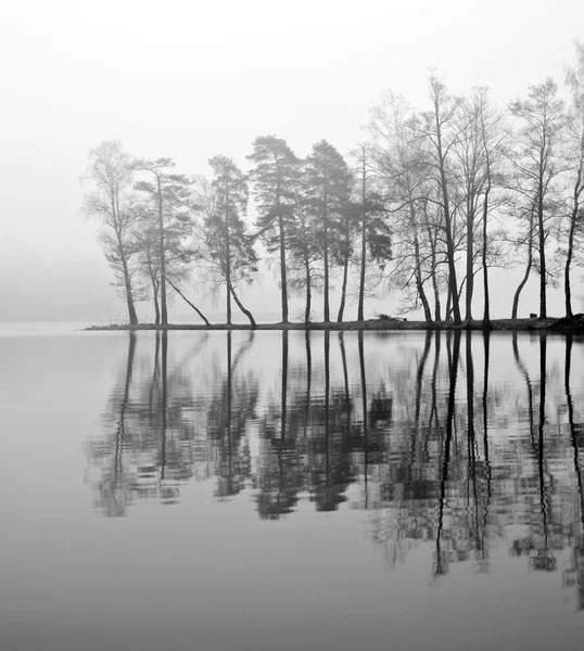 湖の上の霧 — ストック写真
