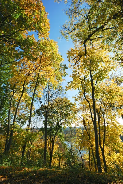 Mellow autumn — Stock Photo, Image