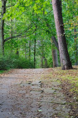 Kaldırıma park