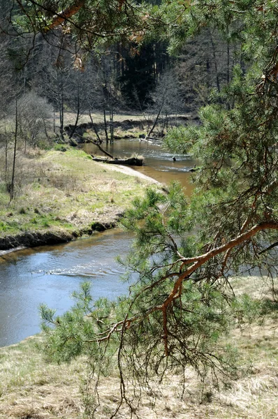 Krajobraz rwąca rzeka — Zdjęcie stockowe