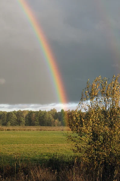 Autumn rainbow — Stock Photo, Image