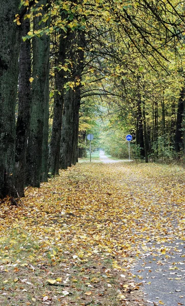 Bicycle path in the autumn — Stock Photo, Image