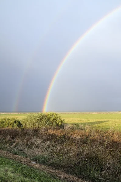 stock image Autumn rainbow