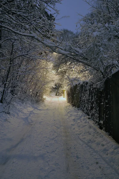 Notte invernale — Foto Stock