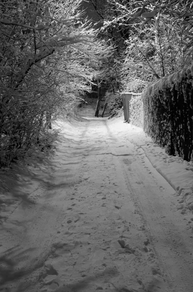 Winternacht, zwart-wit — Stockfoto