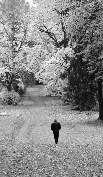 Höstens ensamhet, infraröd svartvit — Stockfoto