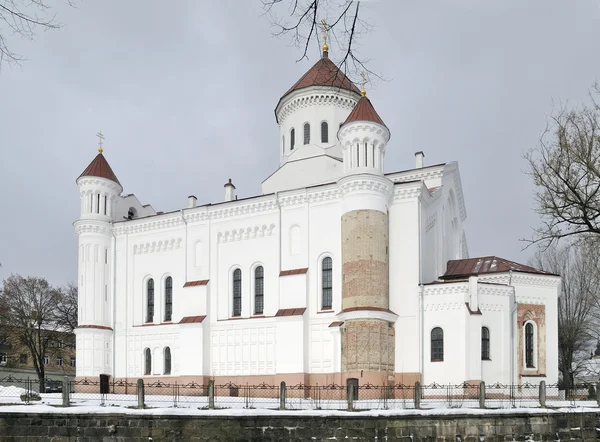 La Cattedrale di Theotokos a Vilniu — Foto Stock