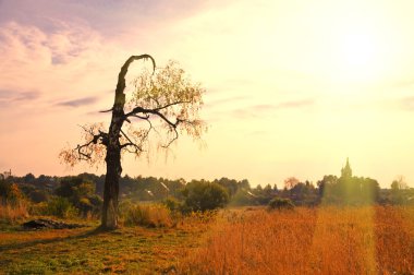 Church, sunset, Russia clipart