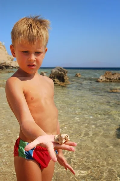 Пляжный мальчик показывает камень или ракушку — стоковое фото