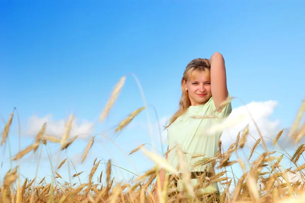 Sunny young beauty girl the field under — Stock Photo, Image