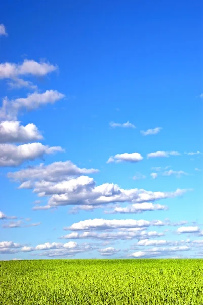 Belas terras agrícolas com nuvens 3 — Fotografia de Stock