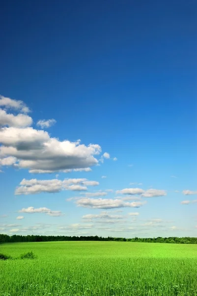 Krásné zemědělské půdy s krásné mraky — Stock fotografie