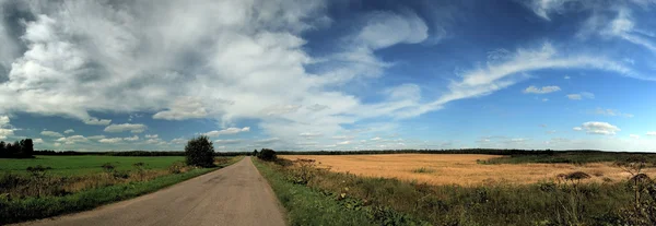 Літні зелено-жовті поля і сині — стокове фото