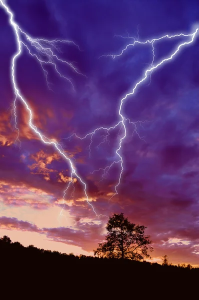 Tree silhouette and lightning — Stock Photo, Image