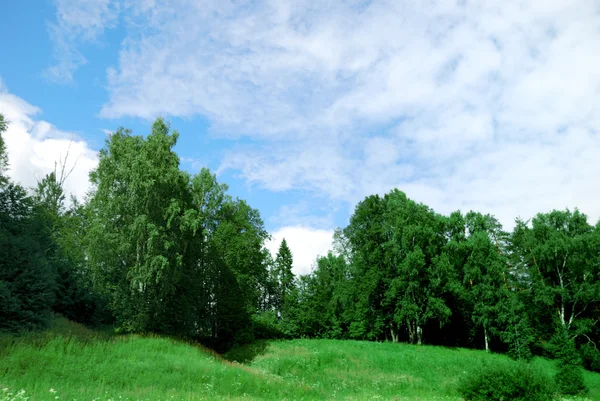 Paisagem de um campo verde com árvores e — Fotografia de Stock
