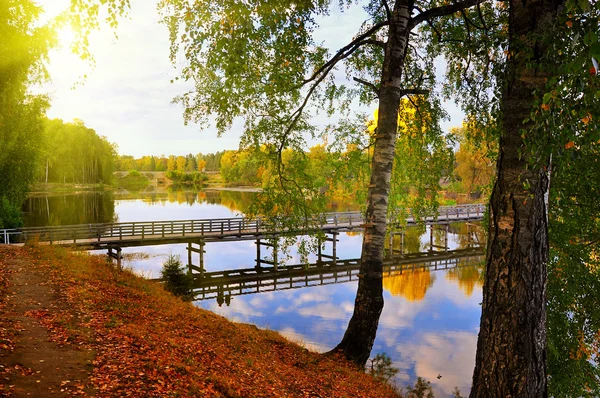 Beautiful small river landscape — Stock Photo, Image