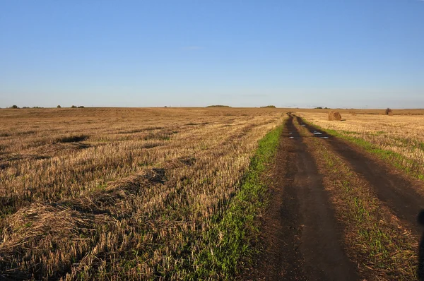 Landschap met veld — Stockfoto