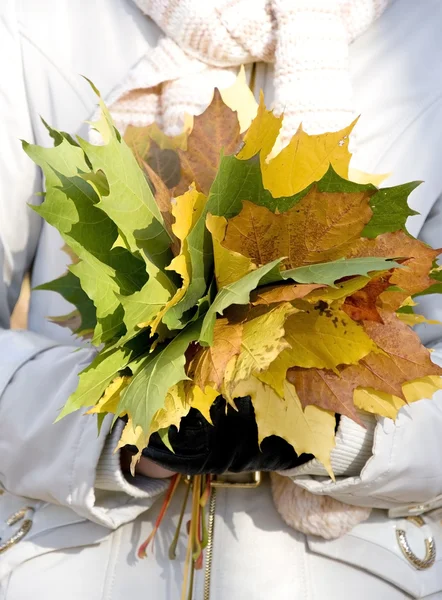 Handen met maple gele bladeren — Stockfoto