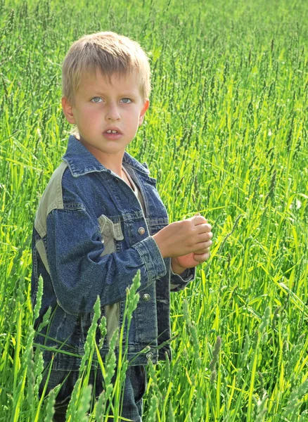 Jonge jongen op groene veld gras — Stockfoto