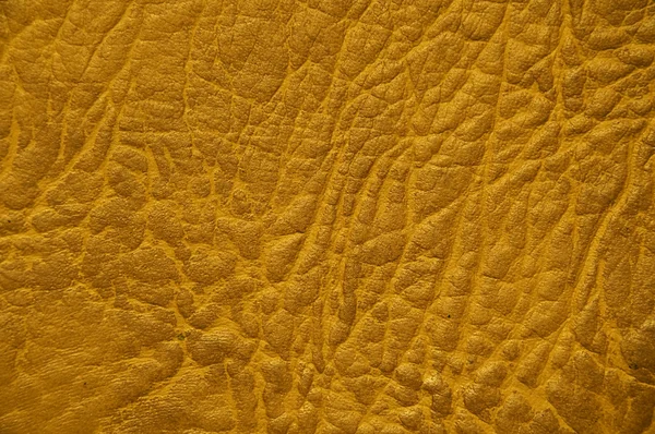 Leather skin textured — Stock Photo, Image