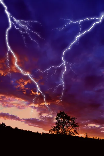 Lightning tree Pictures, Lightning tree Stock Photos & Images ...