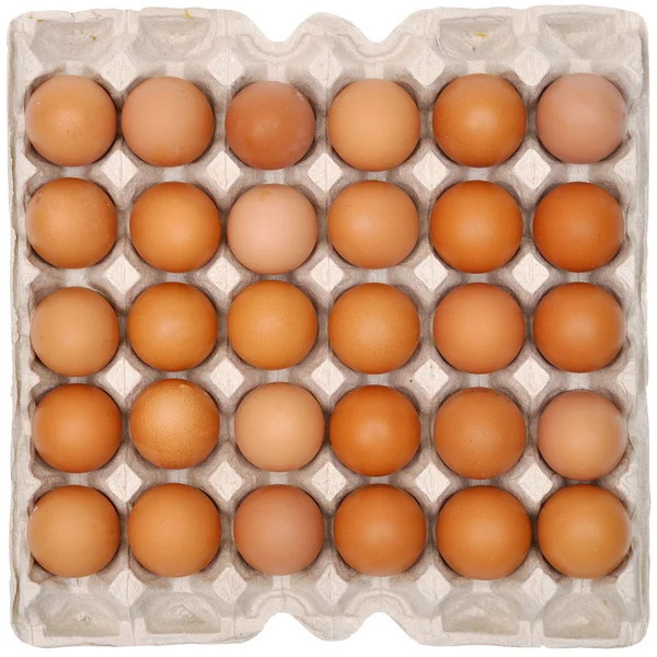 Stock image Eggs in protective packaging