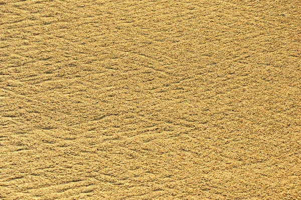 Pattern in the sand — Stock Photo, Image