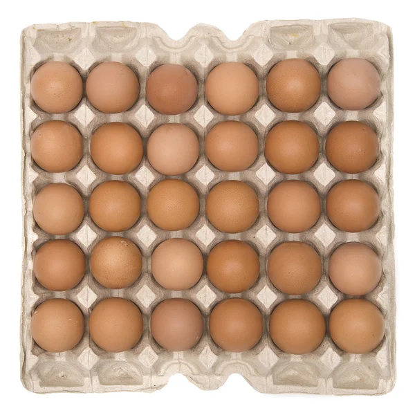 Stock image A box of eggs