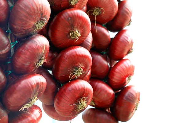 Crimean onion — стокове фото