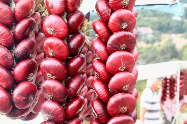 stock image Crimean onion