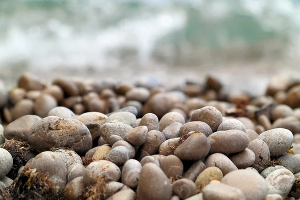 Zee steentjes — Stockfoto
