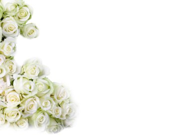 White roses clipart