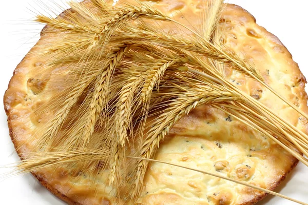 Tortilla ziarna i kłosy pszenicy — Zdjęcie stockowe