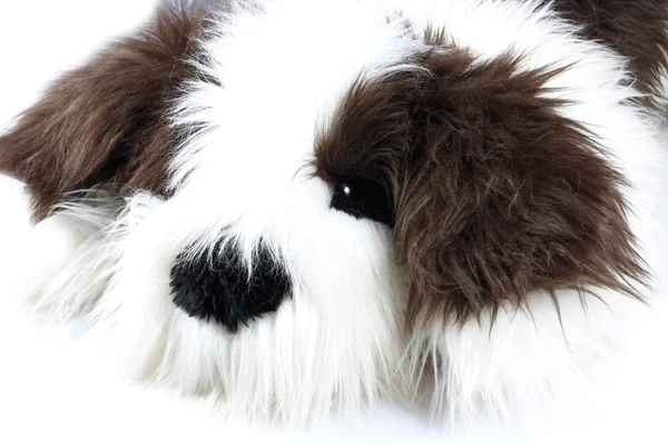 stock image Toy dog