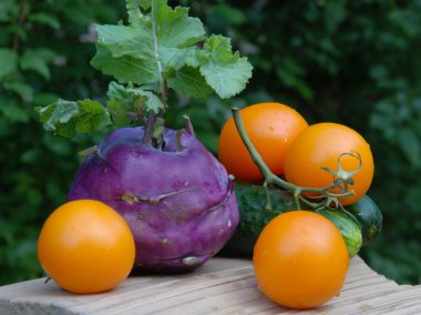 Set of different vegetables clipart