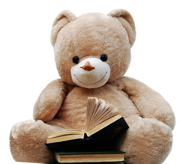 Urso e livros — Fotografia de Stock