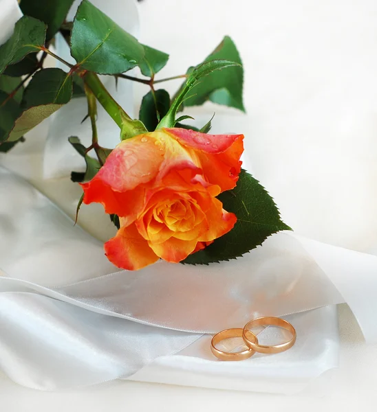 Rose and wedding rings — Stock Photo, Image