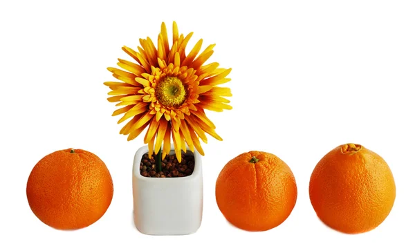 Naranja y decoración — Foto de Stock
