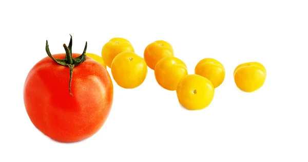 Röda och gula tomater — Stockfoto