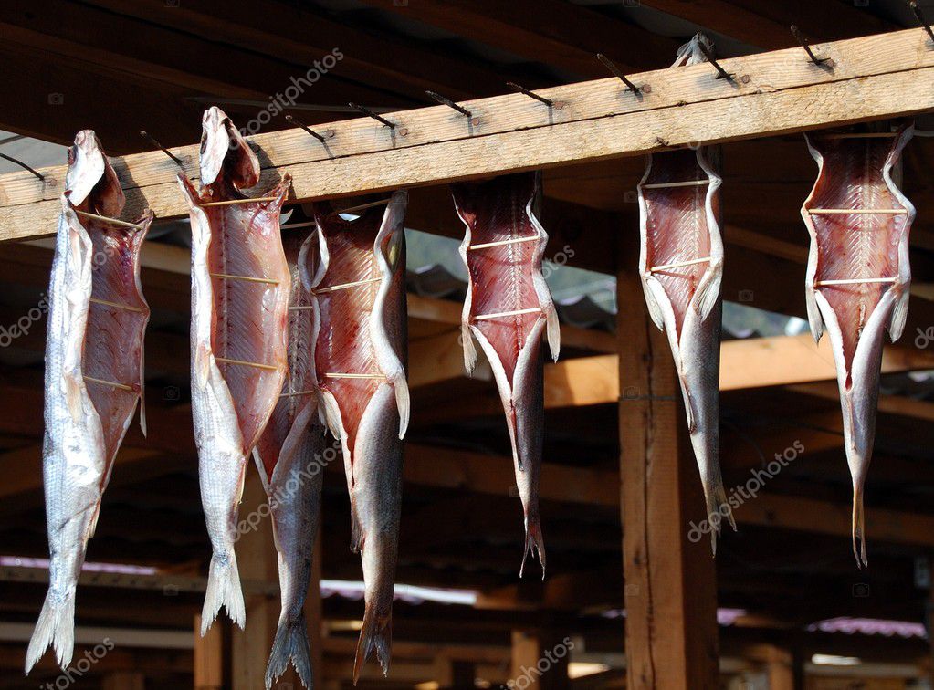 smoked fish |图库照片08yuiyui#1154146