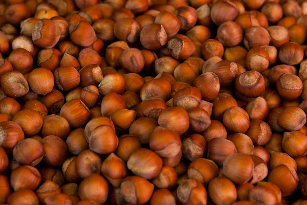 stock image Hazelnuts background